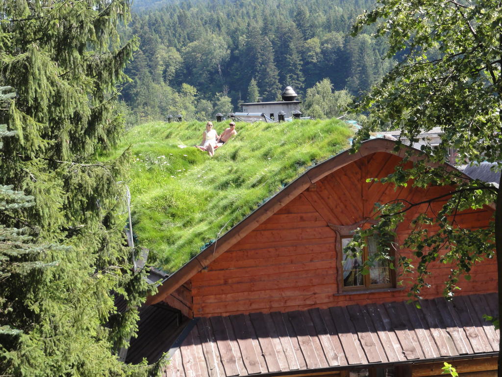 Bed and Breakfast Troll Cisna Exterior foto
